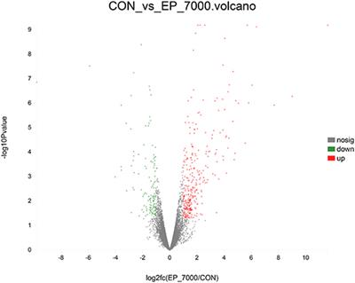 Dietary Enteromorpha Polysaccharides Supplementation Improves Breast Muscle Yield and Is Associated With Modification of mRNA Transcriptome in Broiler Chickens